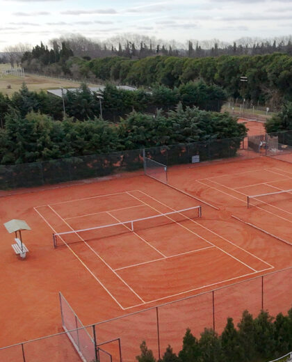 tenis